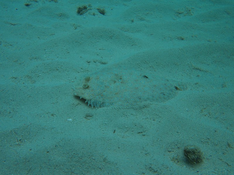 Curacao 04-12 168.JPG
